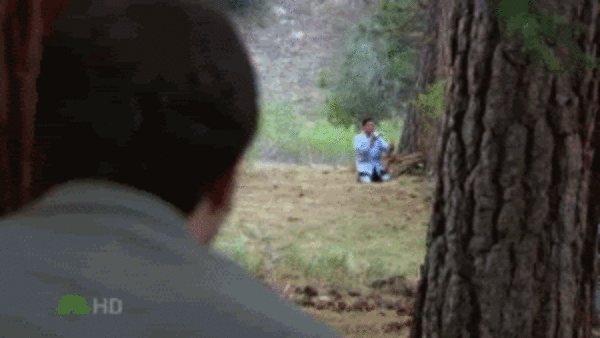 dwight schrute the office