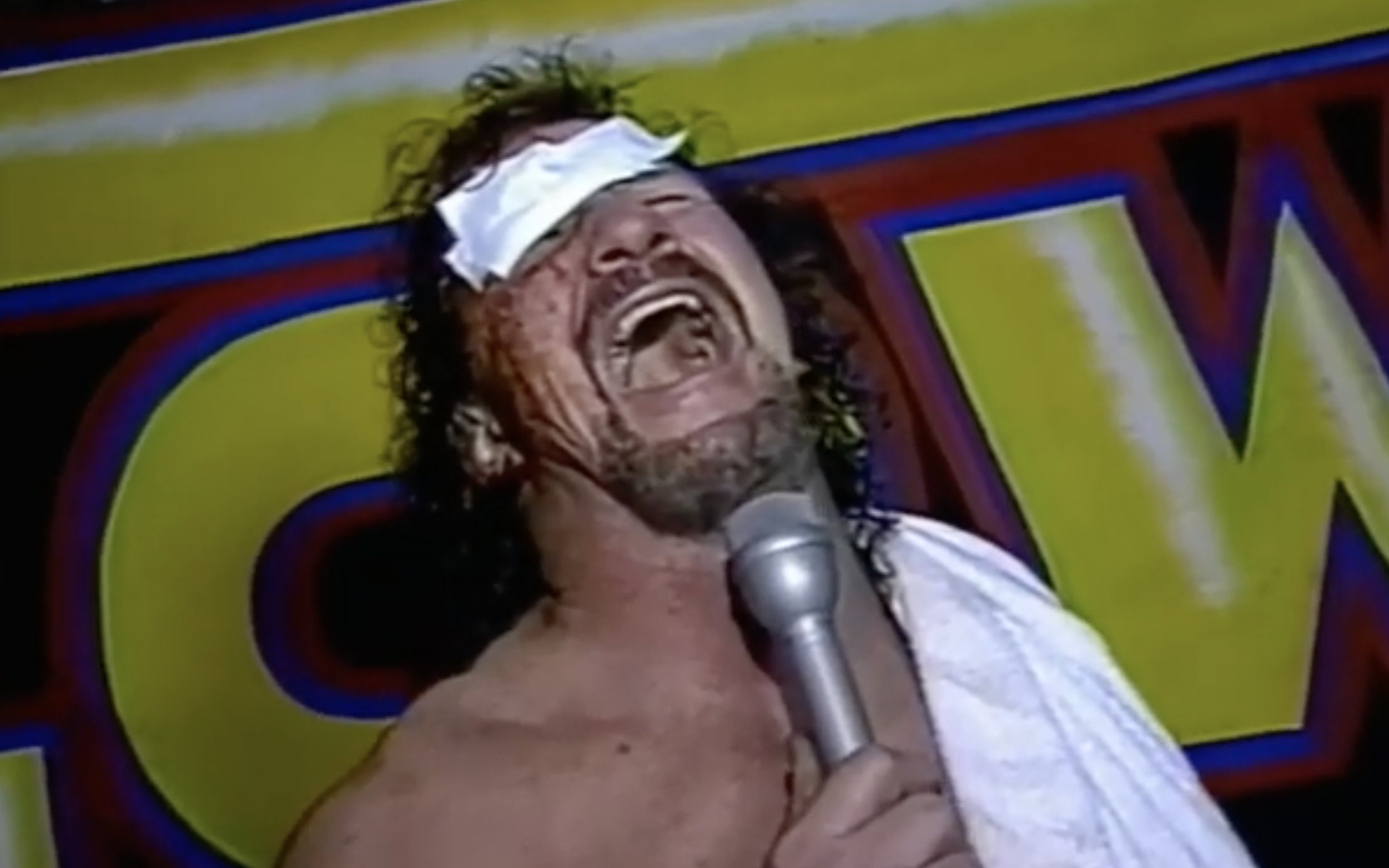 Terry Funk ECW