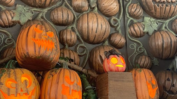 Universal Orlando Resort Halloween Horror Nights HHN Cabana Bay