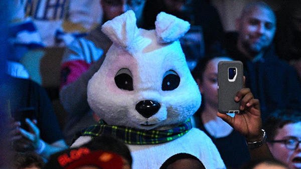 WWE White Rabbit