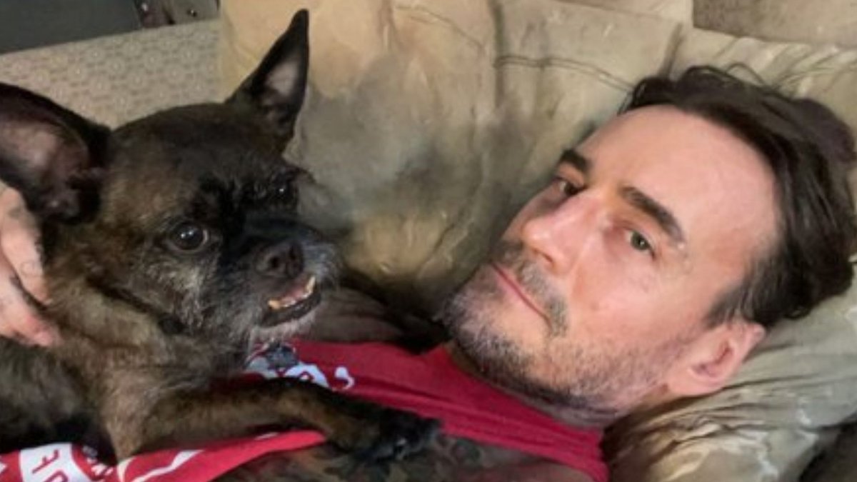 Report: Talk Of CM Punk's Dog Larry's AEW All Out Injuries 