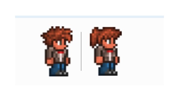 Terraria the Doctor's set