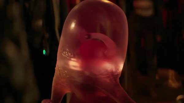 Ant-Man and the Wasp Quantumania