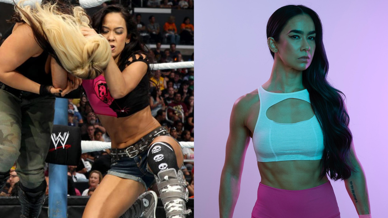 WWE Summerslam 2013 AJ Lee