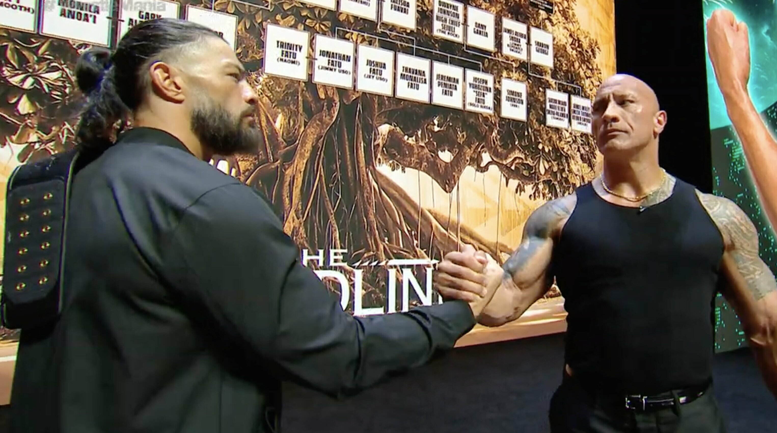 Roman Reigns The Rock