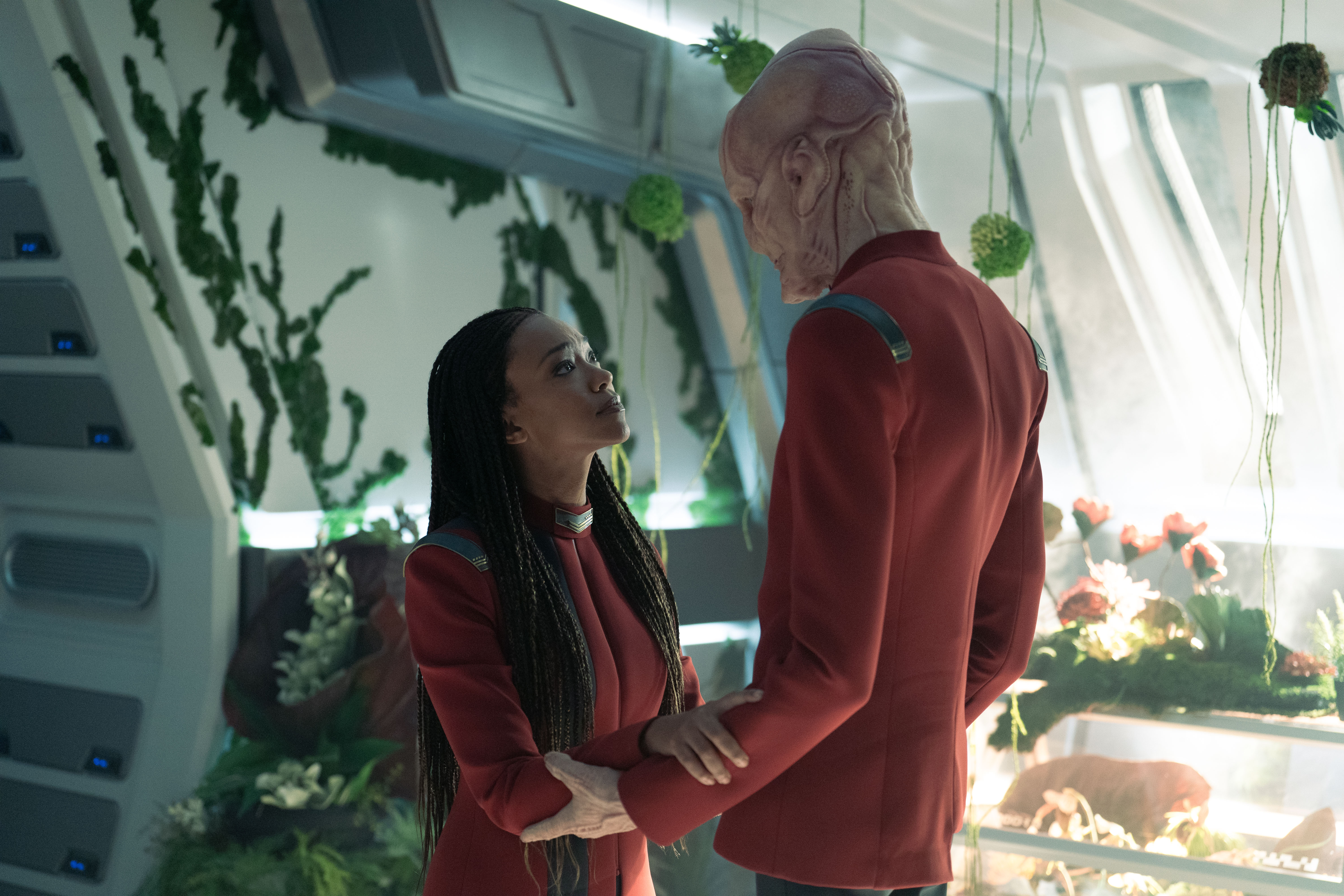 Star Trek Burnham And Saru