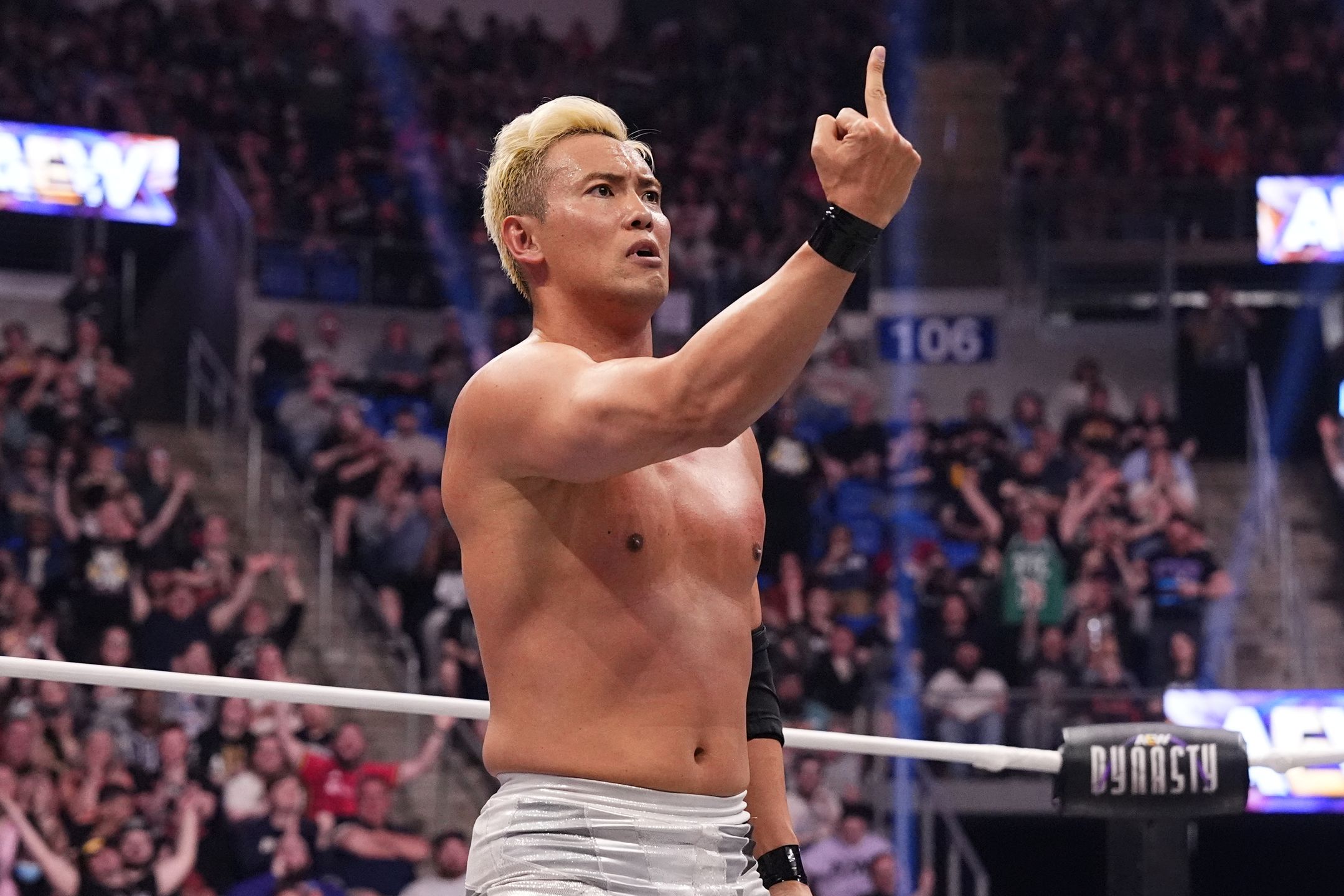 Dynasty Kazuchika Okada