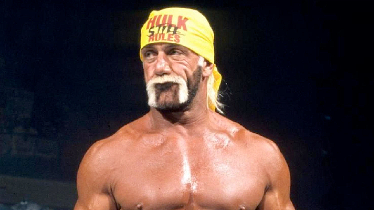 Hulk Hogan WWE 2002