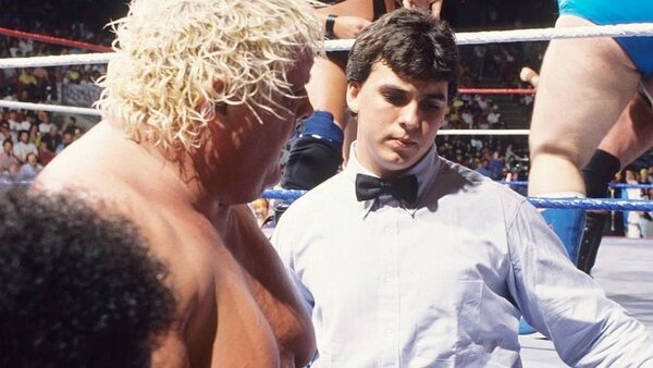 Hulk Hogan WWE WWF 1980s