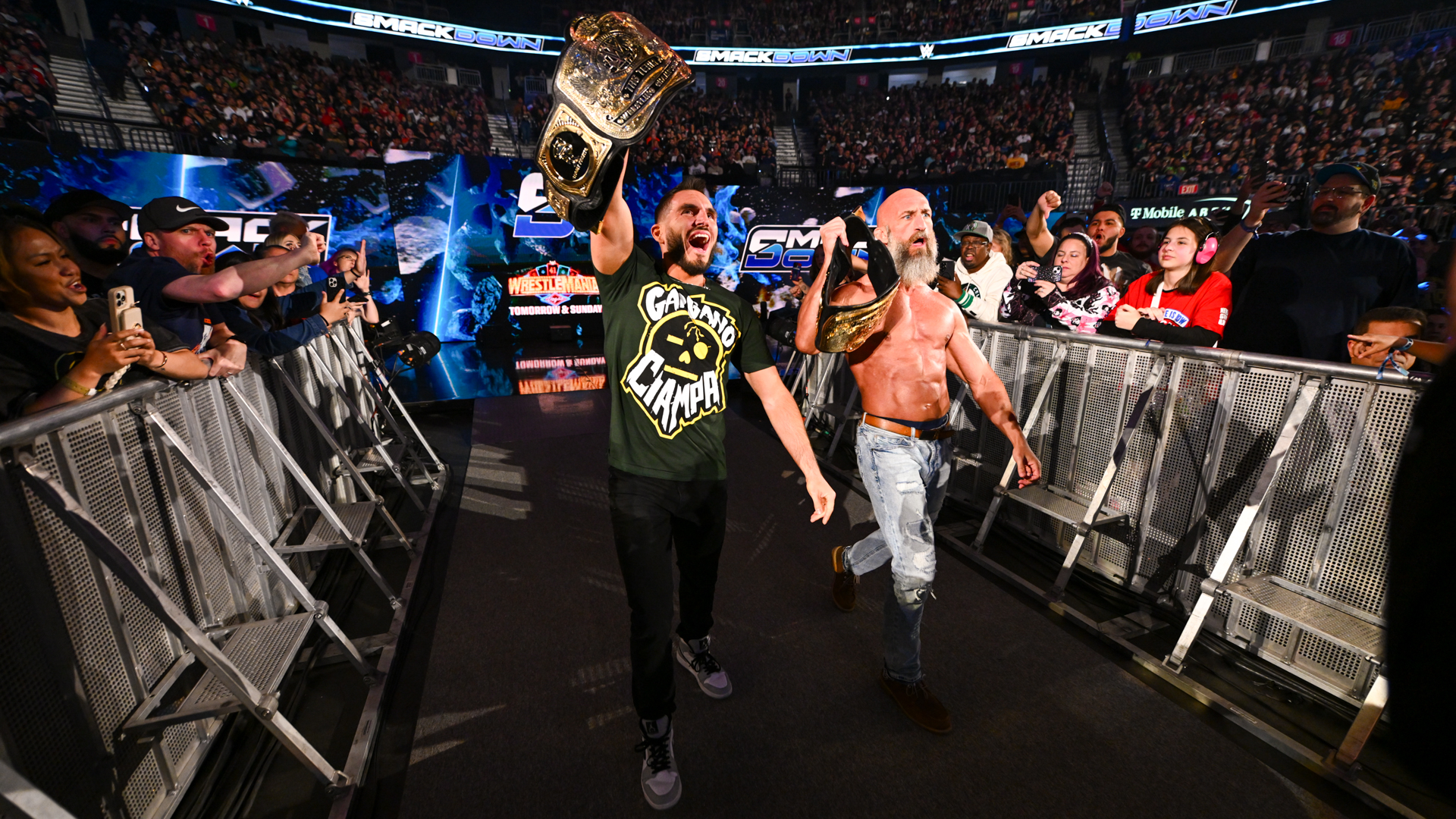 DIY WWE
