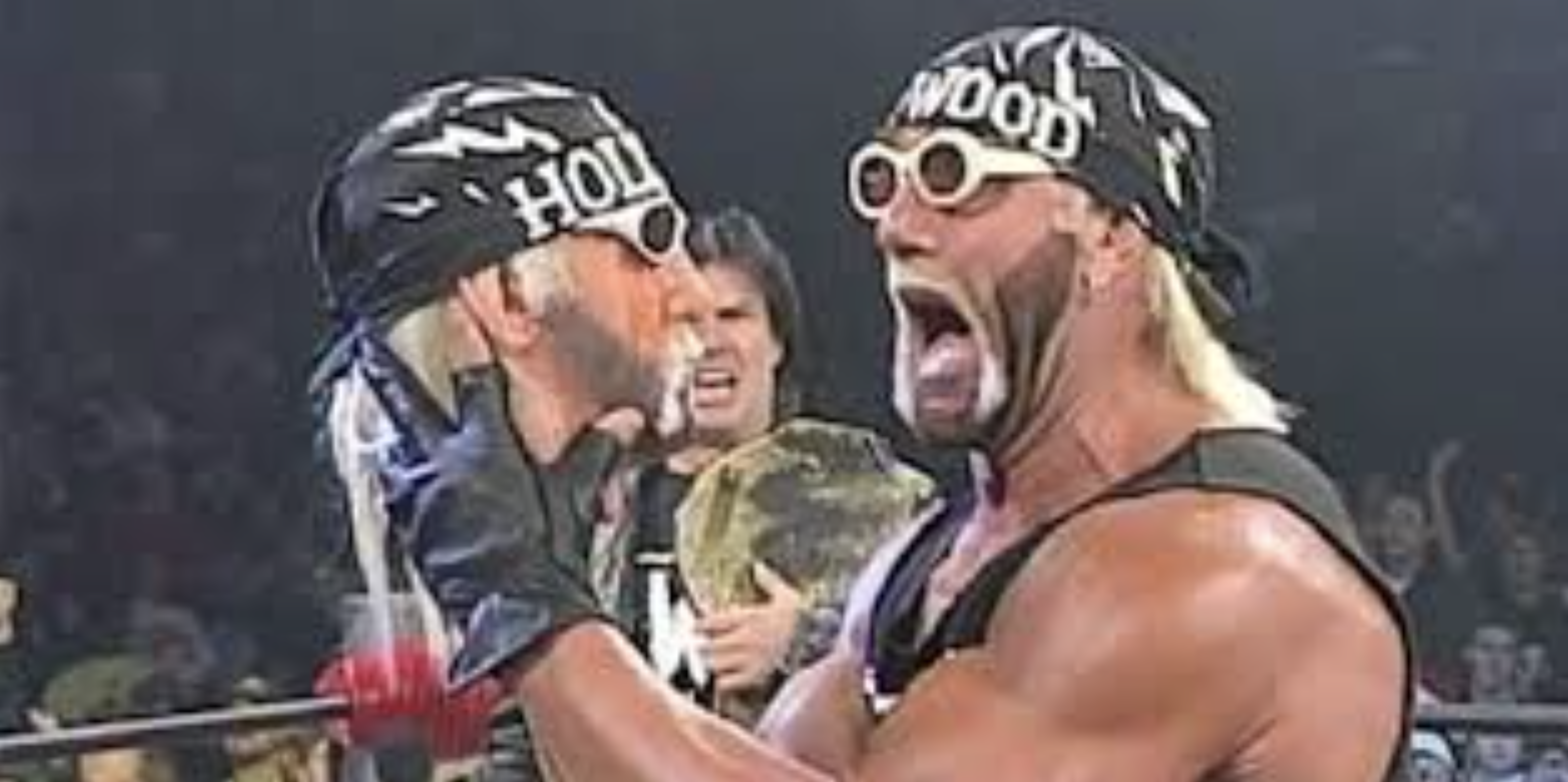 Hulk Hogan Head