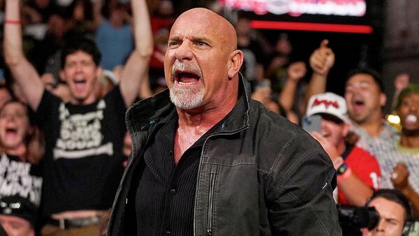 WWE Money In The Bank 2025 John Cena CM Punk