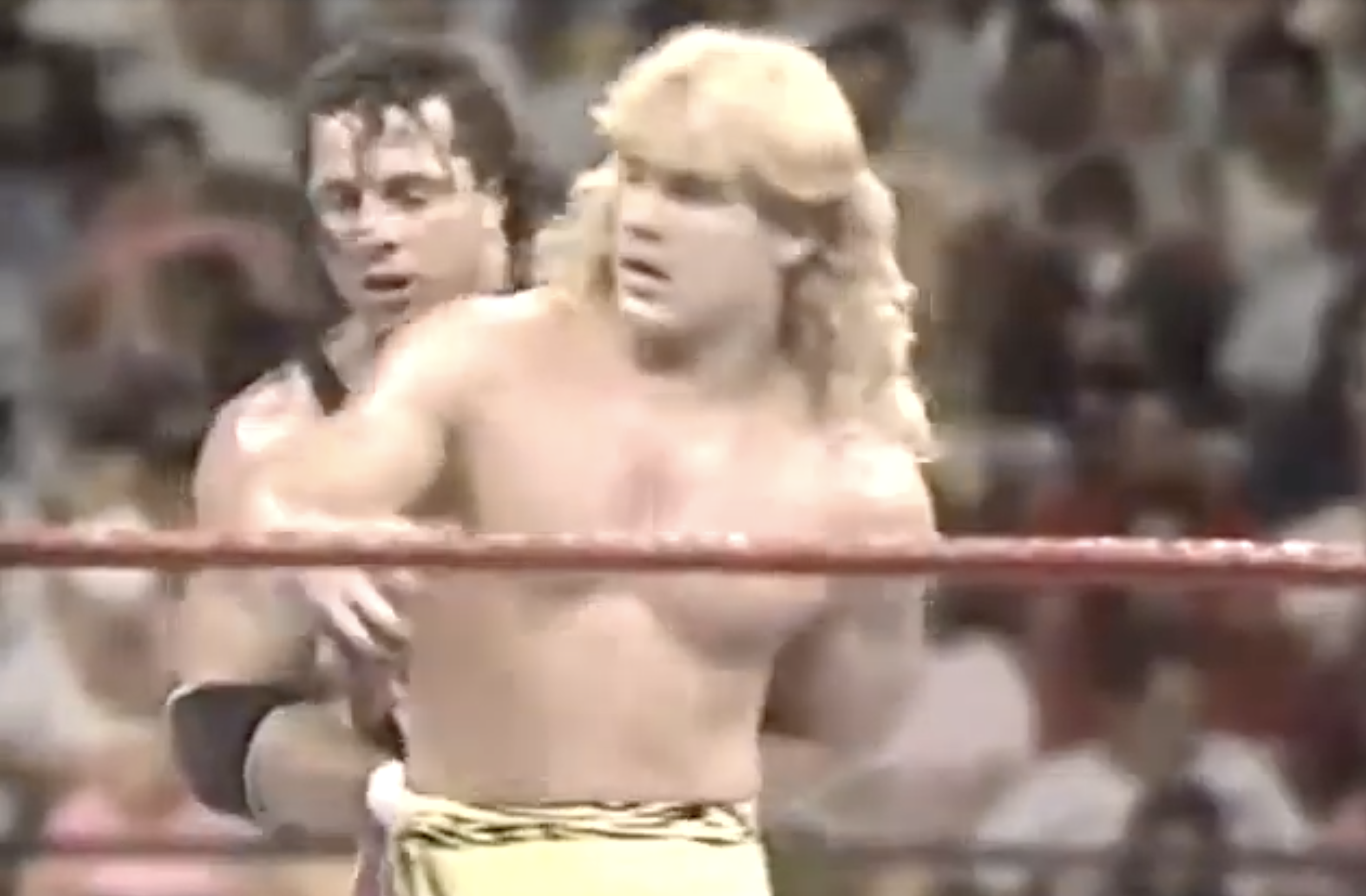 Bret Hart Shawn Michawels 1990