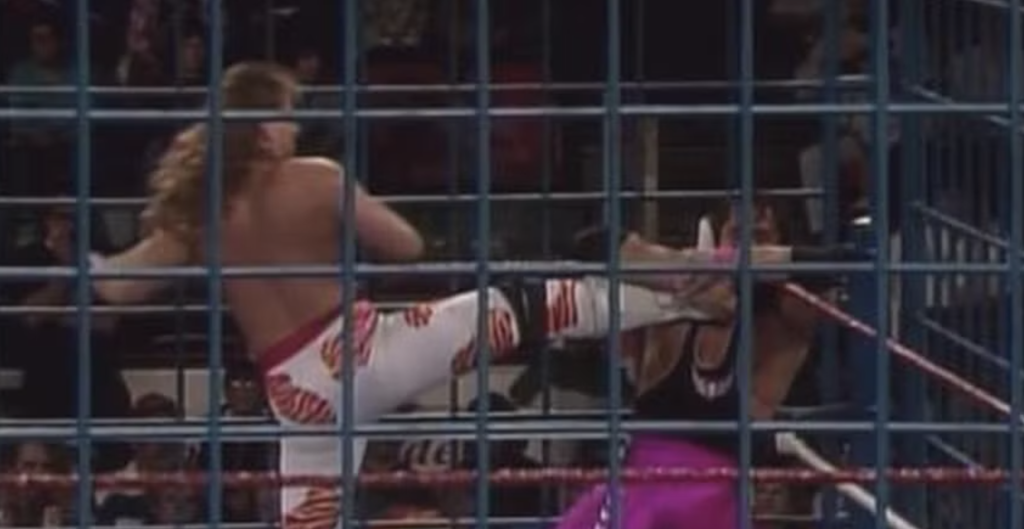 Bret Hart Shawn Michaels Cage