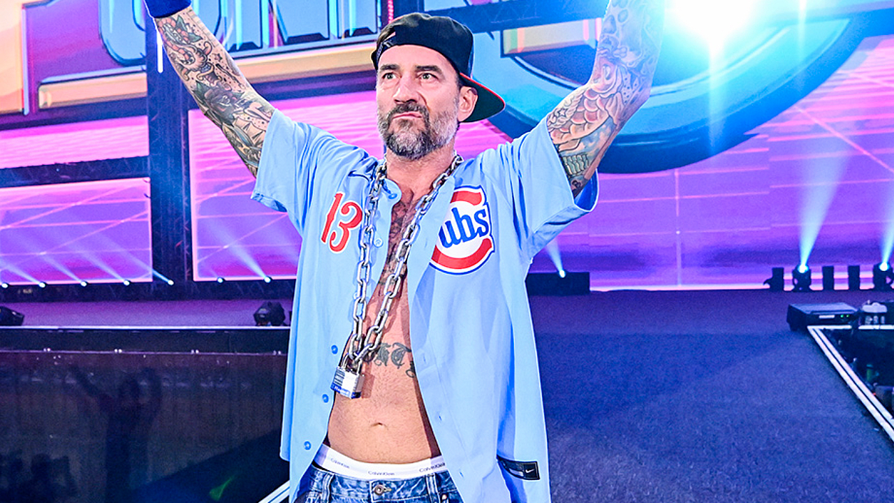 CM Punk John Cena Basic Punkanomics