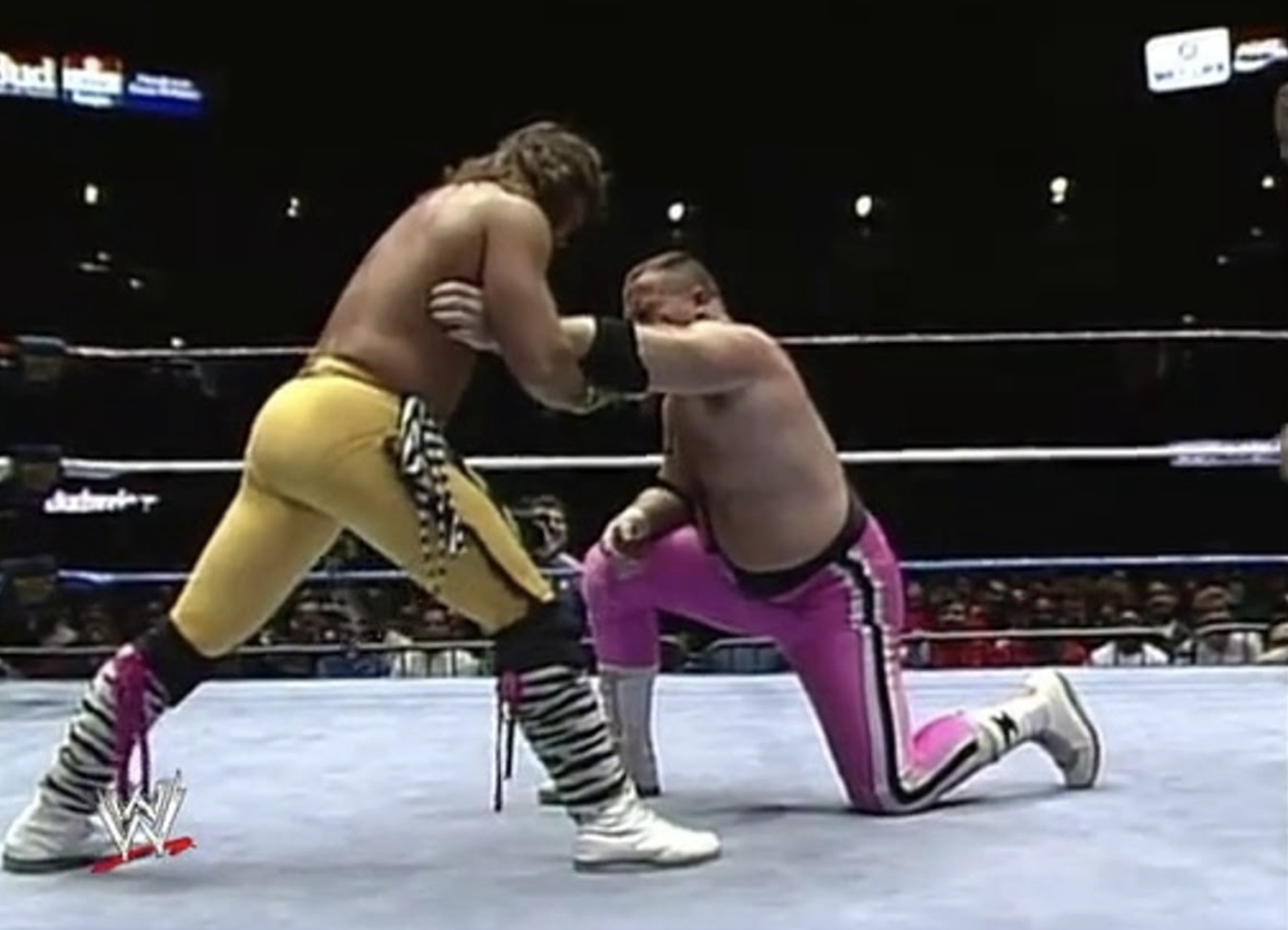 Marty Jannetty Jim Neidhart