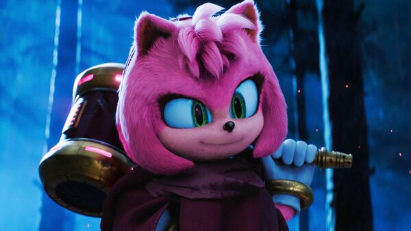 Sonic The Hedgehog 3 Amy Rose