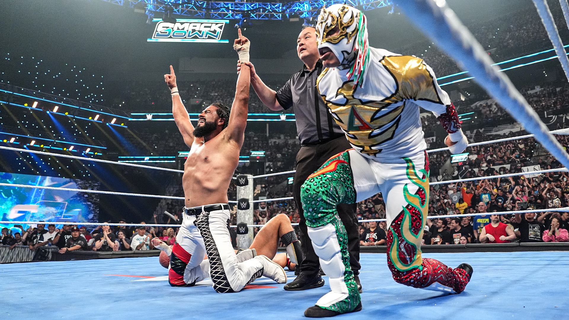 Andrade Rey Fenix