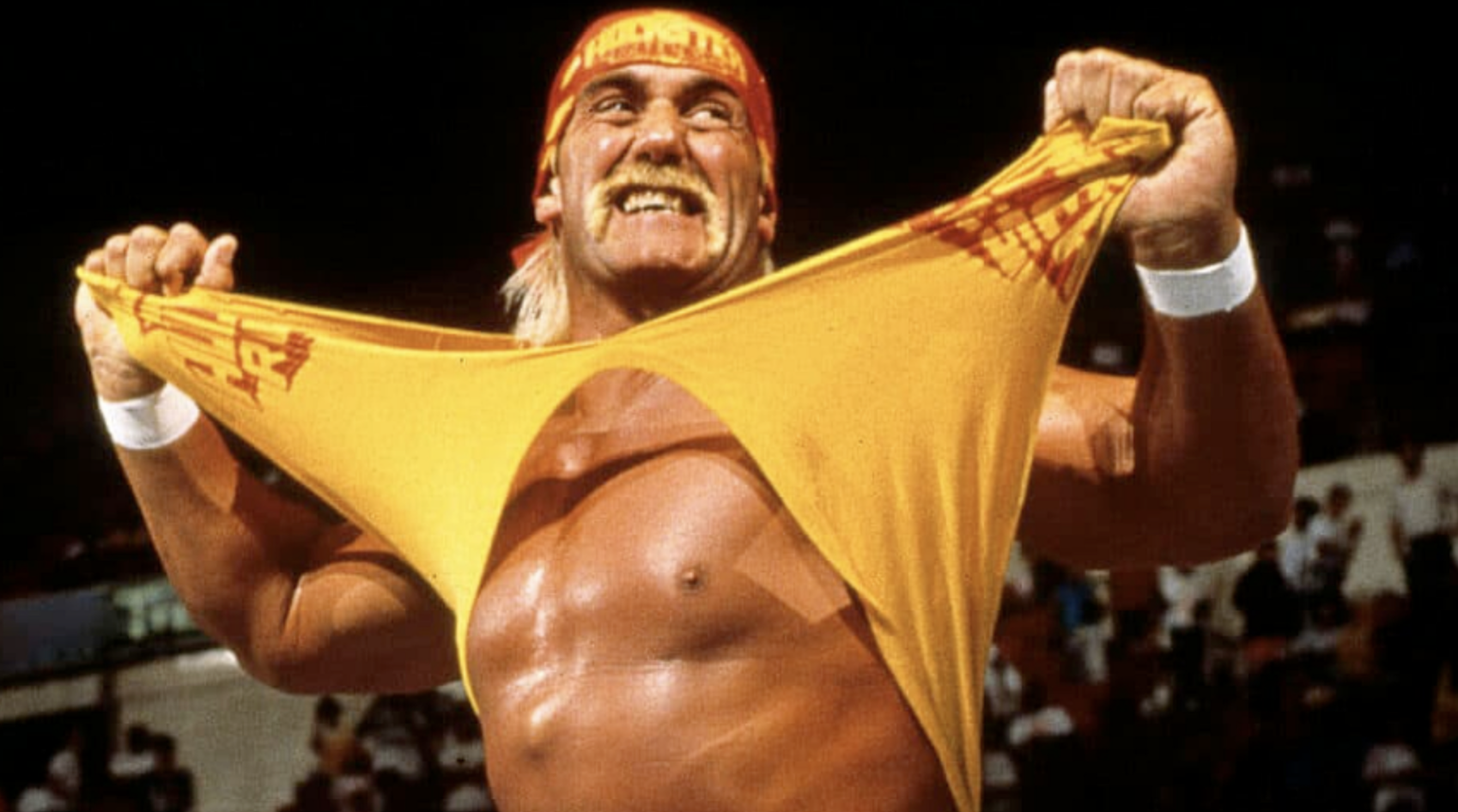 Hulk Hogan WWF WWE Shirt Rip
