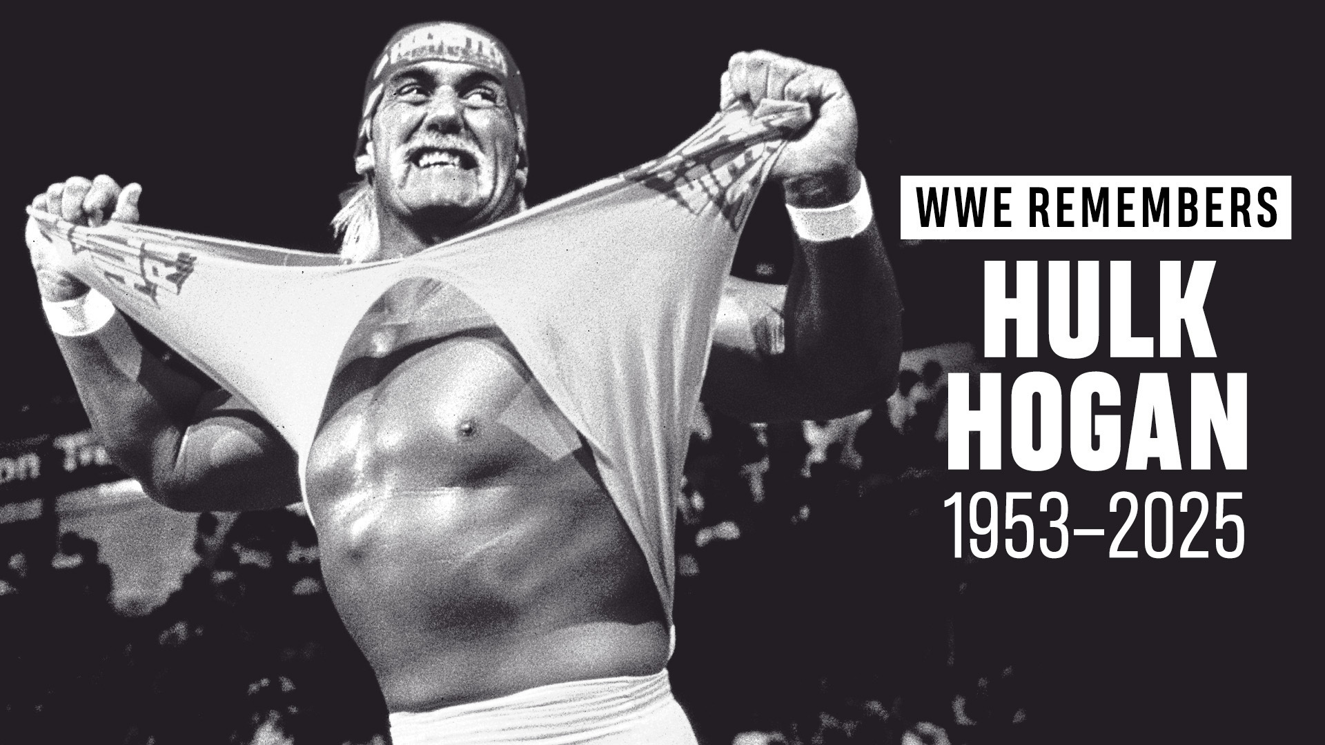 Hulk Hogan WWE RIP