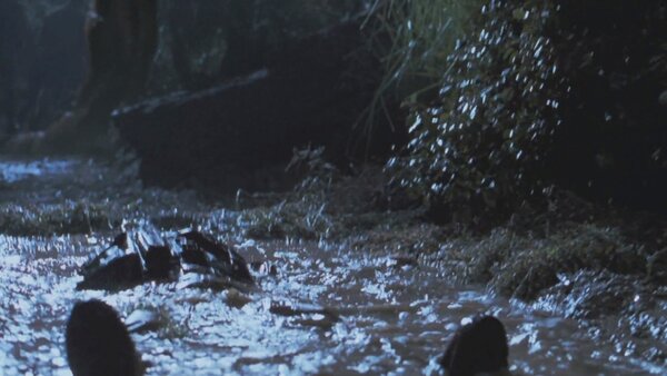 Jurassic World Rebirth Williams