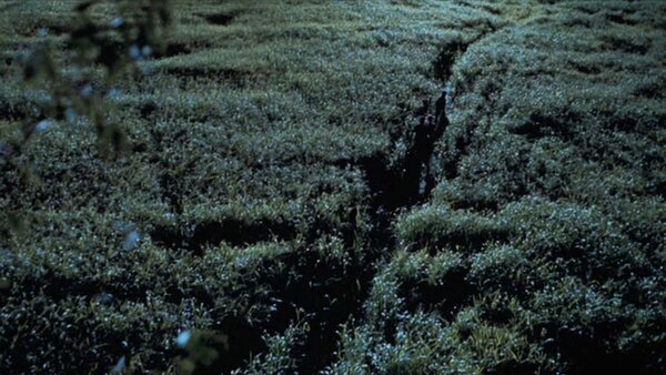 The Lost World: Jurassic Park Mercenaries