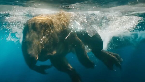 Jurassic World Rebirth Williams