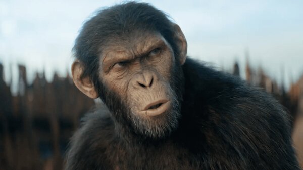 Kingdom of the Planet of the Apes