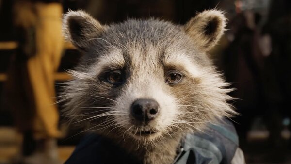 Guardians of the Galaxy Volume 3 Rocket Raccoon