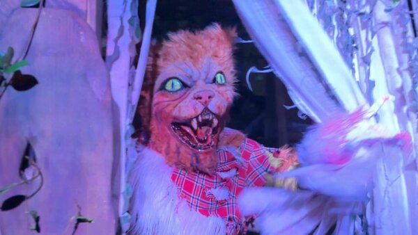 universal orlando resort hhn halloween horror nights cat lady