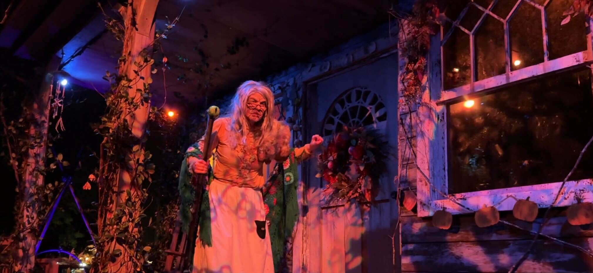 universal orlando resort hhn halloween horror nights cat lady