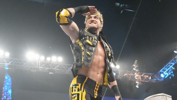 WWE Wrestlepalooza CM Punk AJ Lee