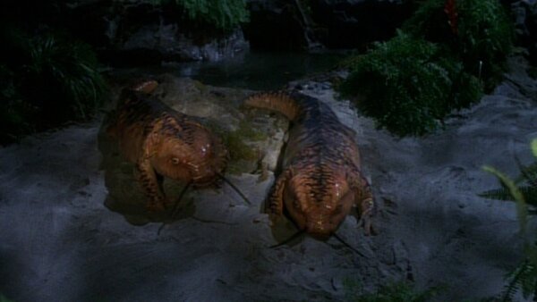 USS Voyager Legs Landing Star Trek