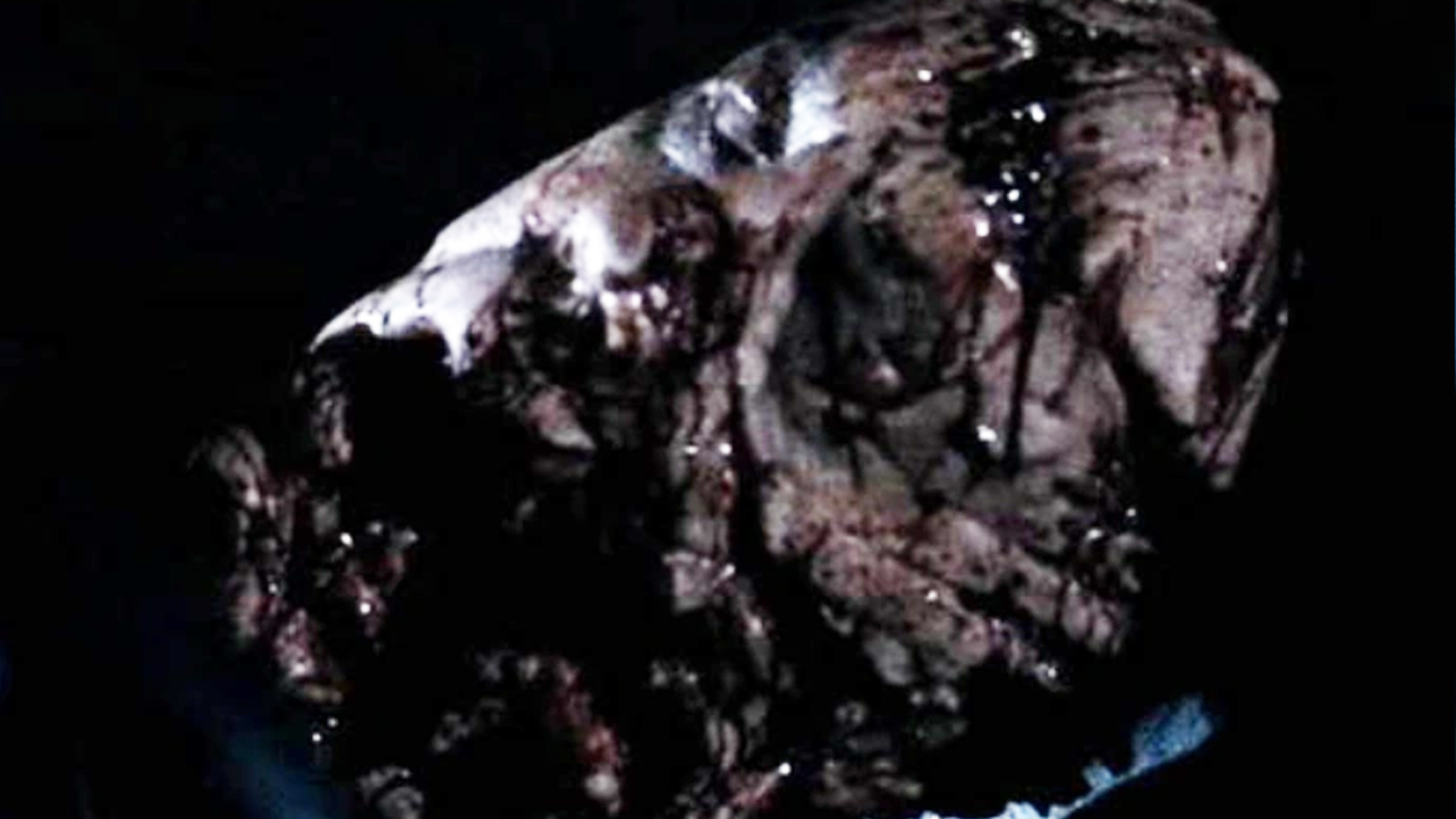 Rob Zombie's Halloween II Alan Hooks