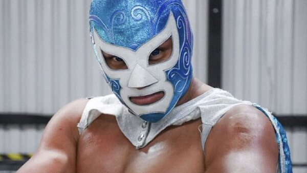 Hulk Hogan WWE Tribute