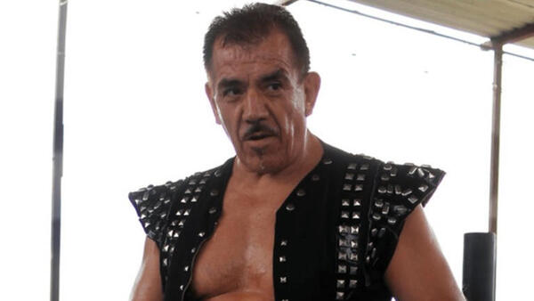 Hulk Hogan WWE Tribute