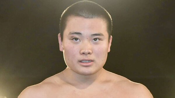 Hulk Hogan WWE Tribute