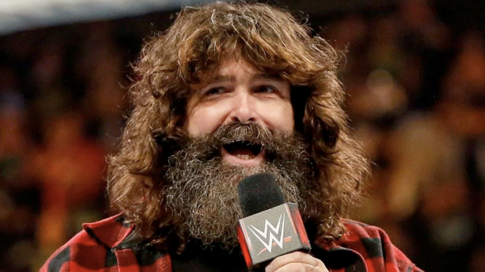 Mick Foley WWE