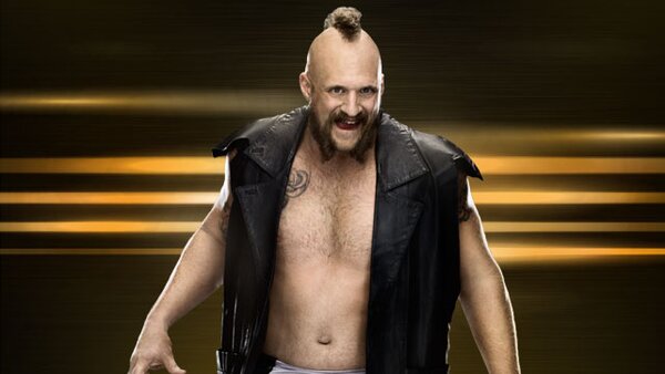 Hulk Hogan WWE Tribute