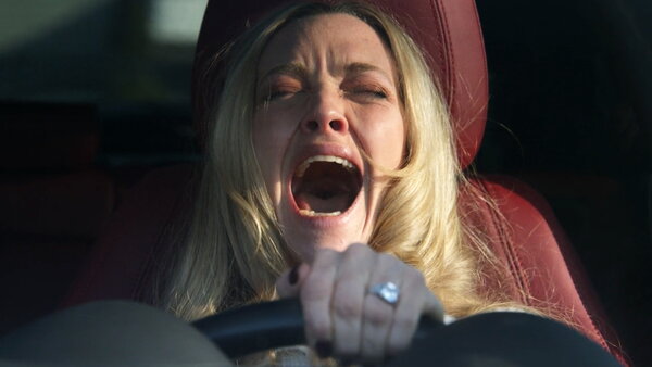 The Housemaid Amanda Seyfried