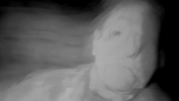 Horror in the High Desert