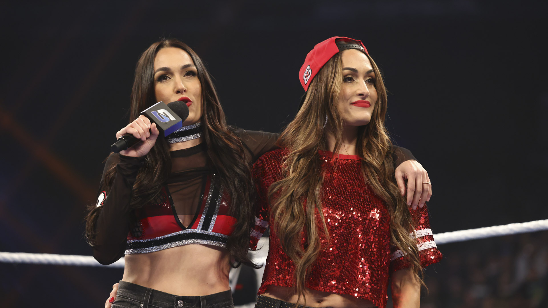 The Bella Twins Nikki Brie