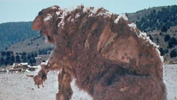 Godmonster of Indian Flats