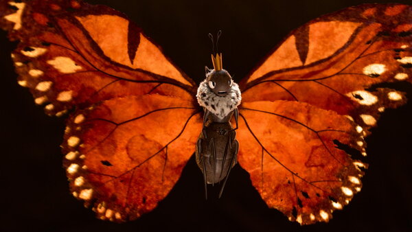 Hoppers Insect Queen