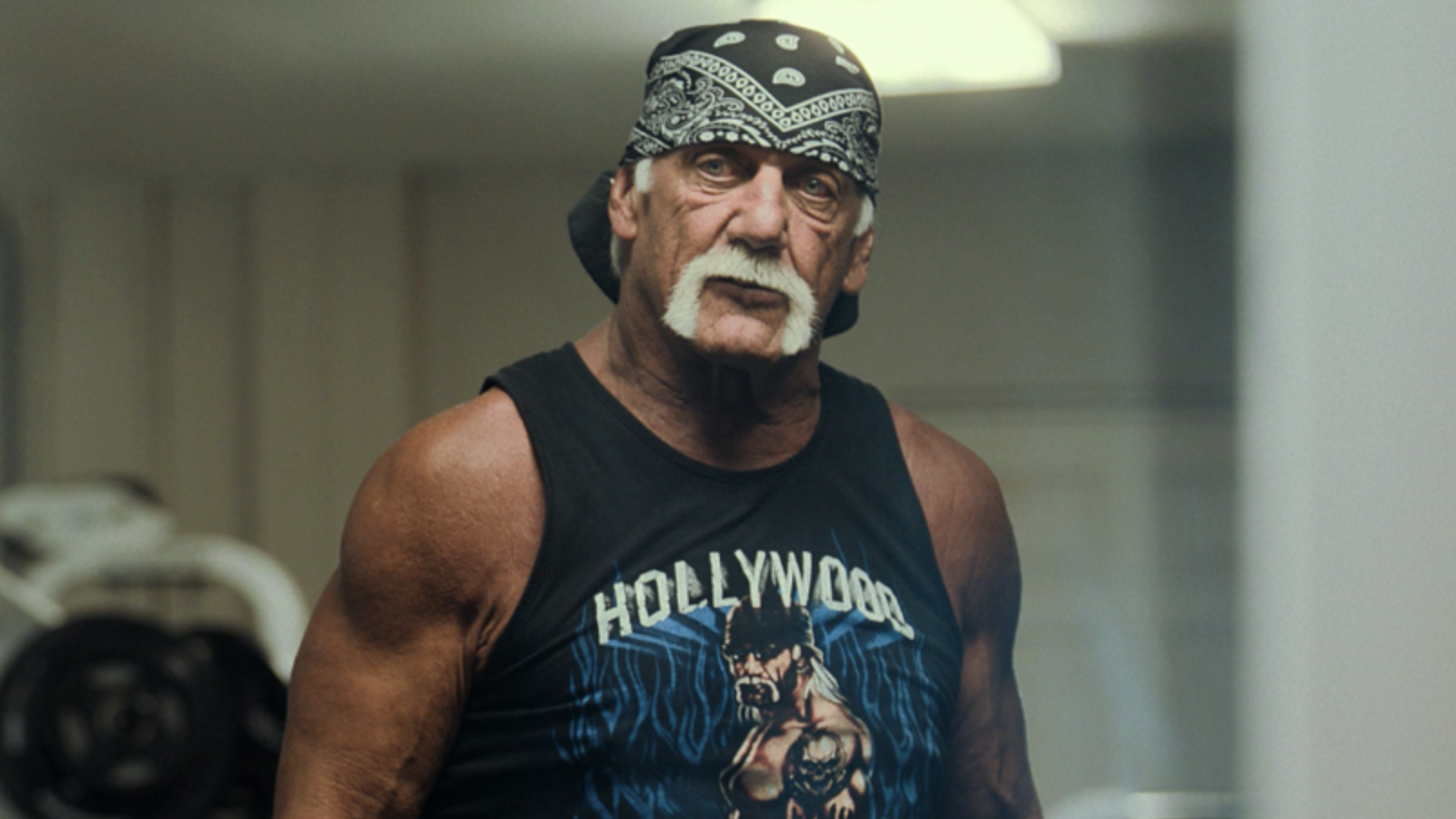 Hulk Hogan Netflix WWE Documentary