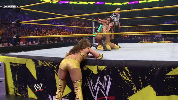 WWE NXT 2010 Nikki Brie Bella AJ Lee