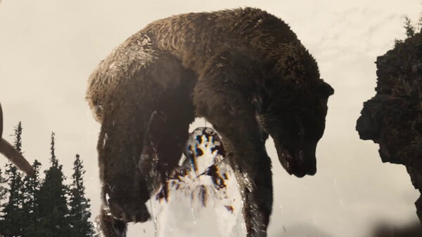 Prey Bear