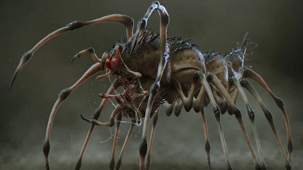 The Predator Yautja Hybrid