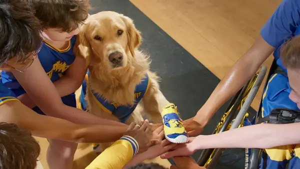 Air Bud Returns