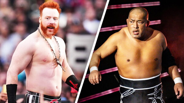 Get Ready For A Massive Sheamus Dream Match (WWE News)
